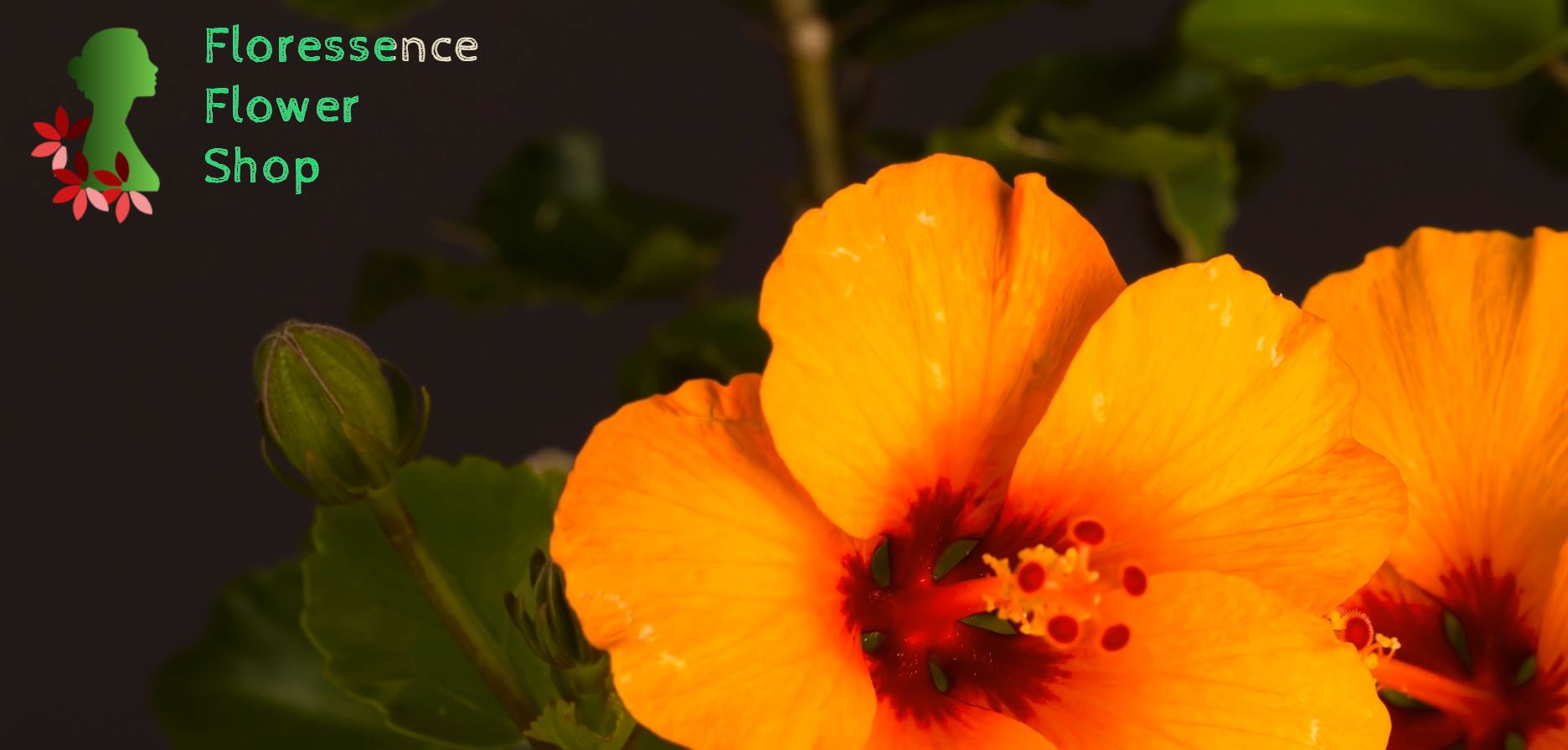 Foressence